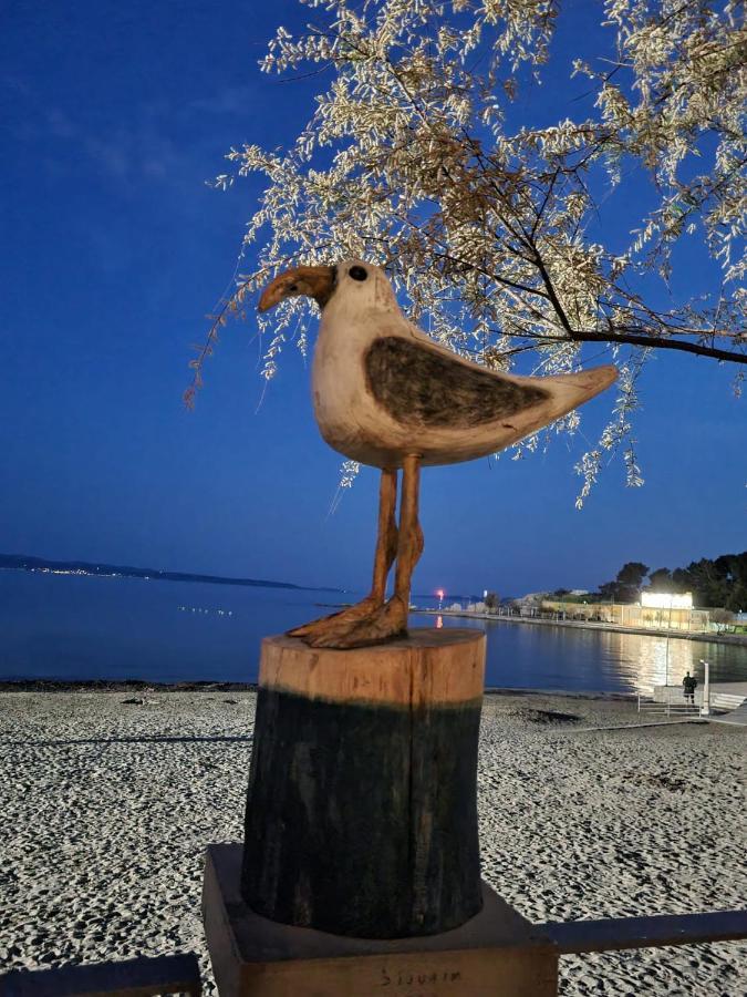 Lägenhet Larus *