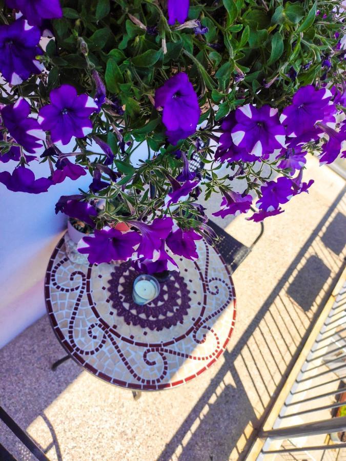 Appartement Larus Split